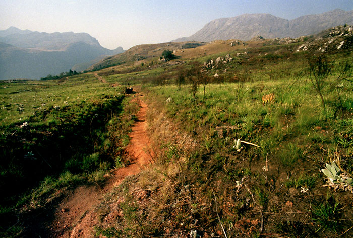 mulanje-lichenya.jpg